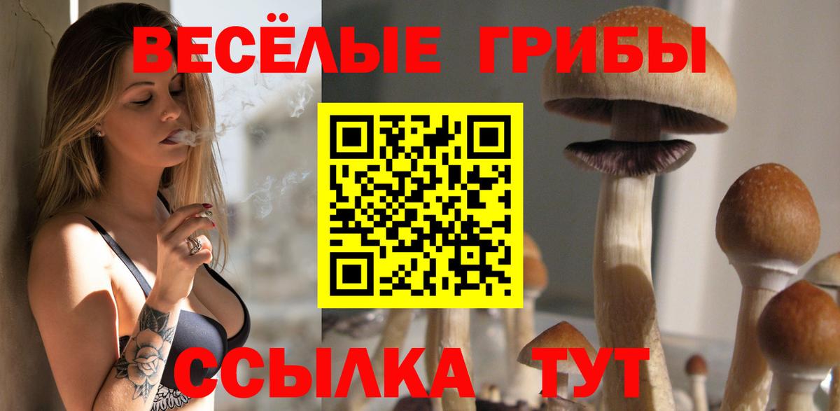 Новозыбков  Галлюциногенные грибы GOLDEN TEACHER  что такое   Вход с VPN 