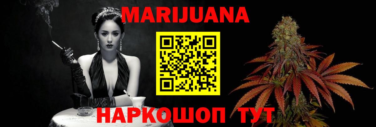 Каннабис планчик Новозыбков